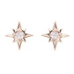 14kt gold single diamond star studs